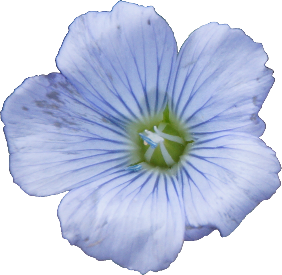 Biolandhof Roland Winkler